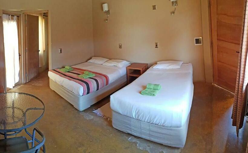 标准三人间, La Cochera