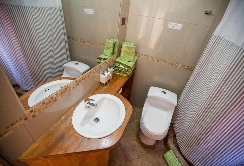 标准三人间, La Cochera