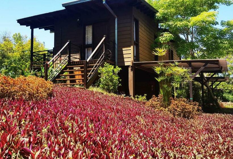 Deluxe room with river view, Puro Moconá Lodge