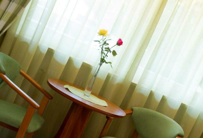 غرفة قياسية, Römerrast