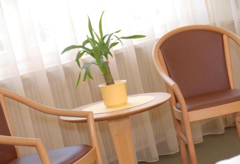 マウンテンビュースタンダードルーム, Römerrast