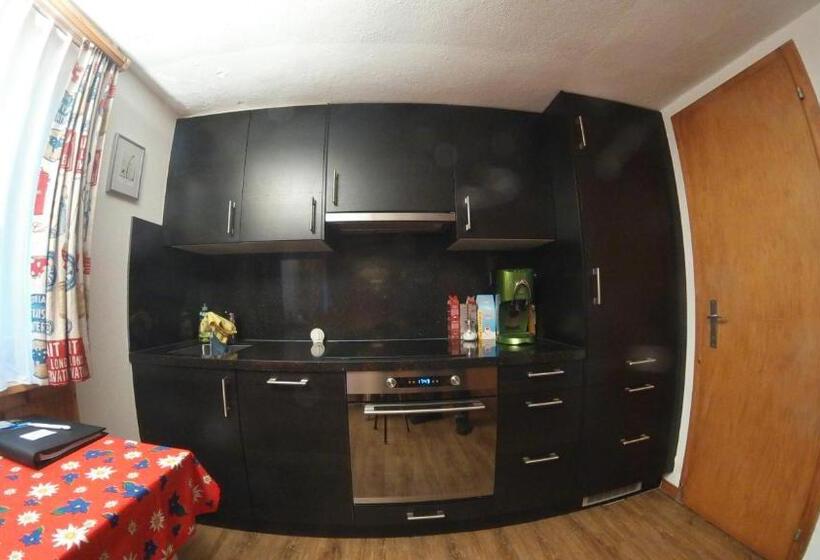 דירת דופלקס 2 חדרי שינה, Sonnenhalde