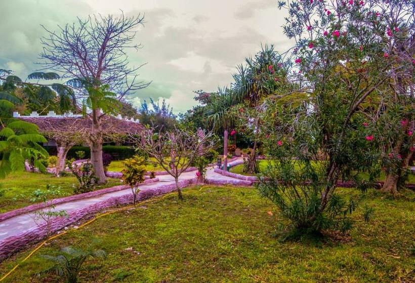 디럭스 룸, Zanzi Rest Bungalow
