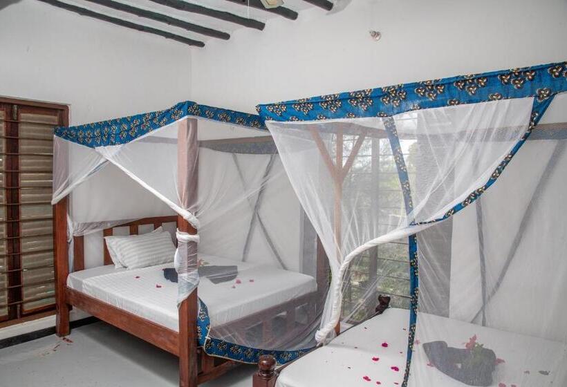 이코노미 룸, Zanzi Rest Bungalow