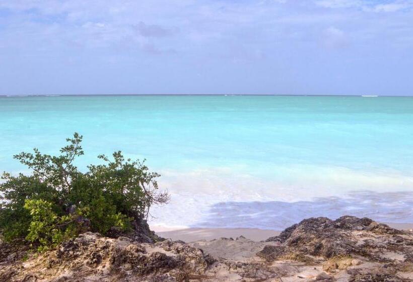 デラックスルーム, Zanzi Rest Bungalow