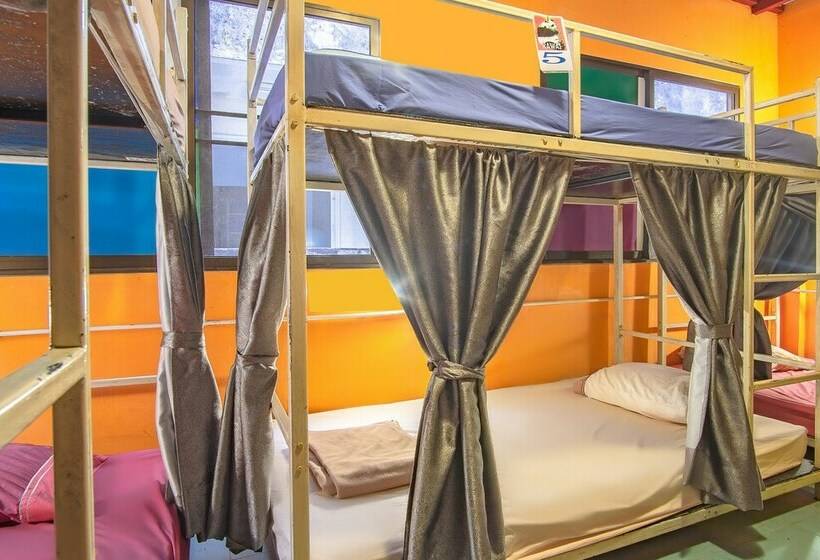 공동 객실, I Hostel Phuket
