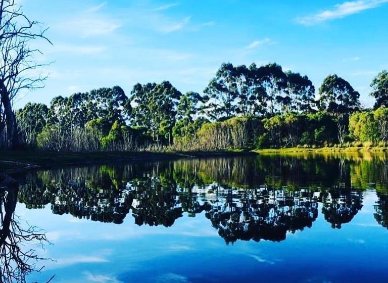 خانه 1 خوابه, Harmony Forest Cottages & Lake Side Lodge