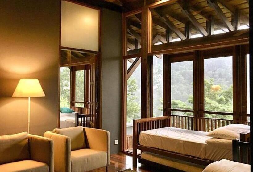 メゾネットスイート, The Shorea