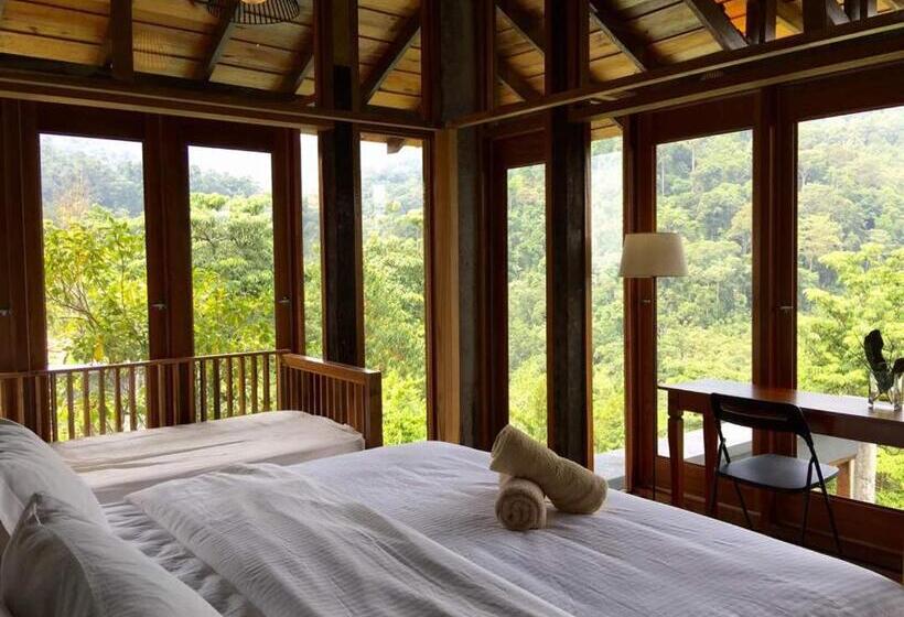 ガーデンビューのスタンダードバンガロー, The Shorea