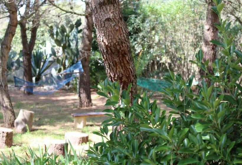 غرفة قياسية, B&b La Gazza Ladra