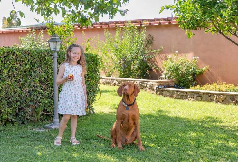 شقة غرفة واحدة مطلة على الحديقة, Country Hotel Residence Da Pilade