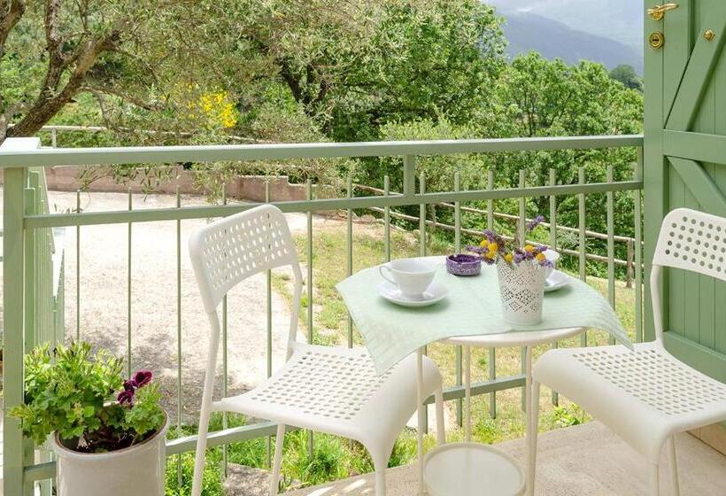 Апартаменты 1 Спальня Вид на Море, Driùs Edodè   B&b Affittacamere