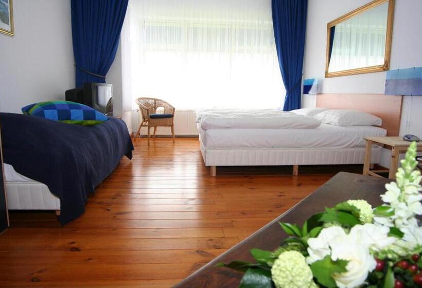 디럭스 트리플 룸, Albion