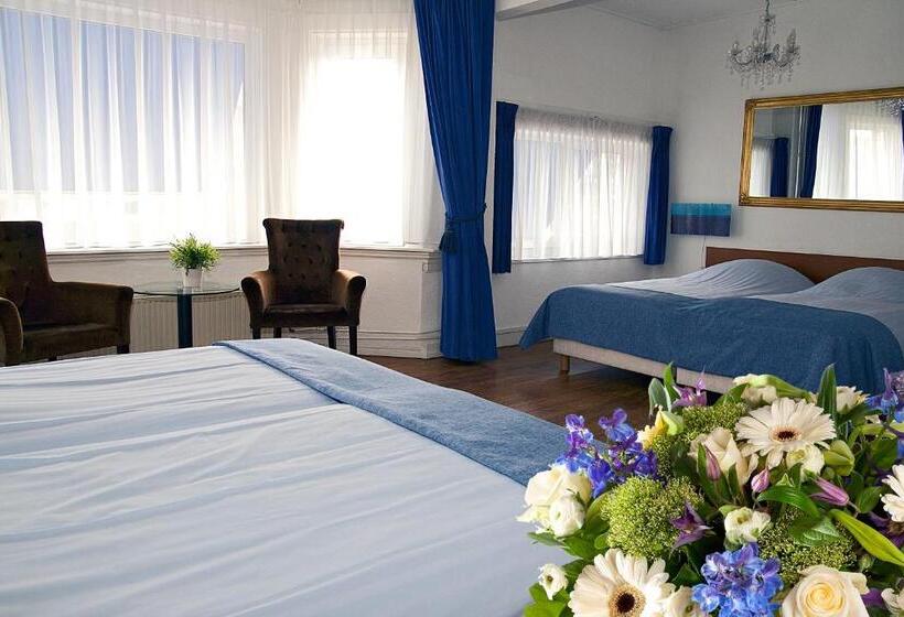 디럭스 4인 룸, Albion