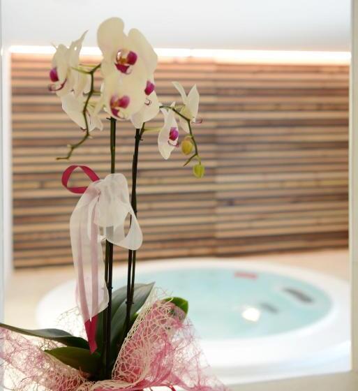 豪华套房, Dolomeet Boutique