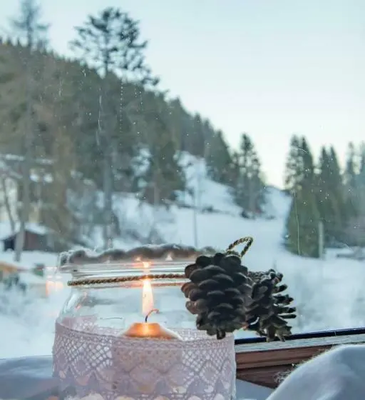 Neljän Hengen Perhehuone, & Restaurant Grüner Baum Die Grüne Oase Am Feldberg