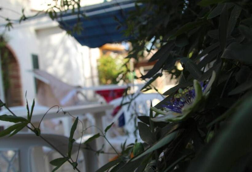 Четырехместный Номер Классик, B&b Country House Il Grappolo