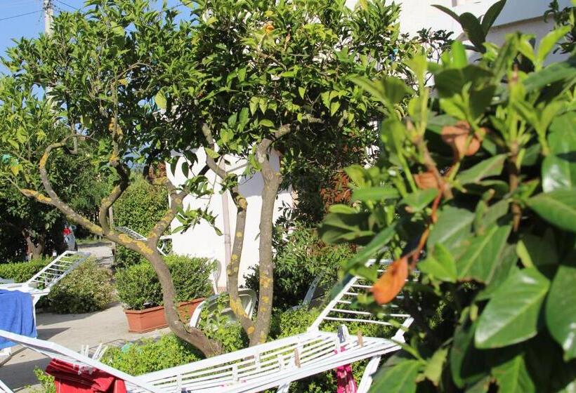 غرفة كلاسيكية رباعية, B&b Country House Il Grappolo