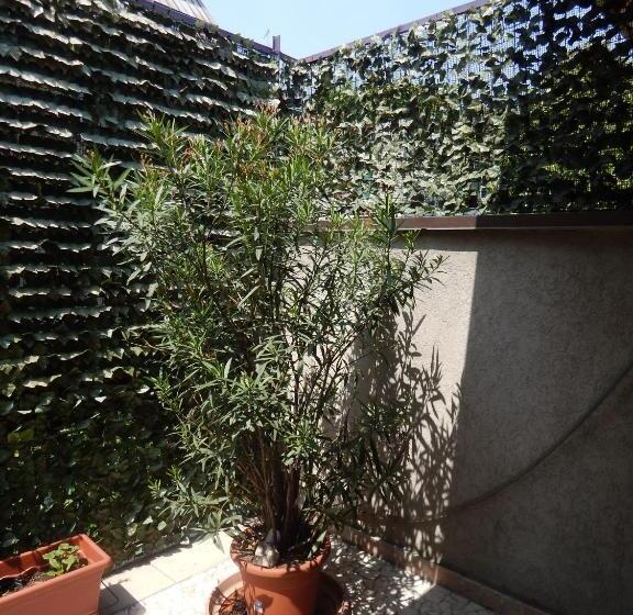 اتاق استاندارد با تخت بزرگ, Forte House