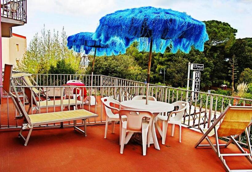 Семейный Номер, Ellymar