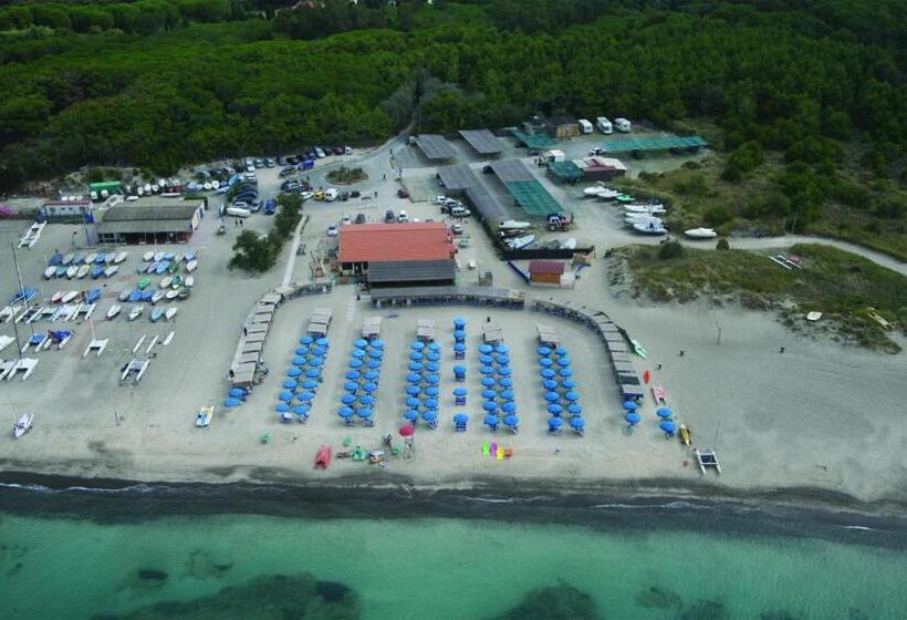 Номер Стандарт, Ellymar