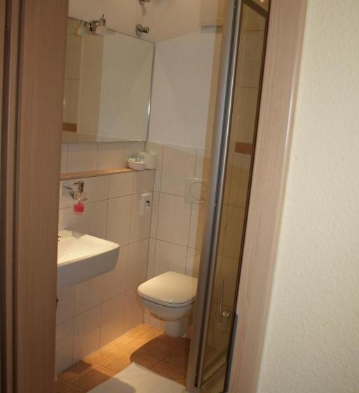 חדר סטנדרט יחיד, Romäus