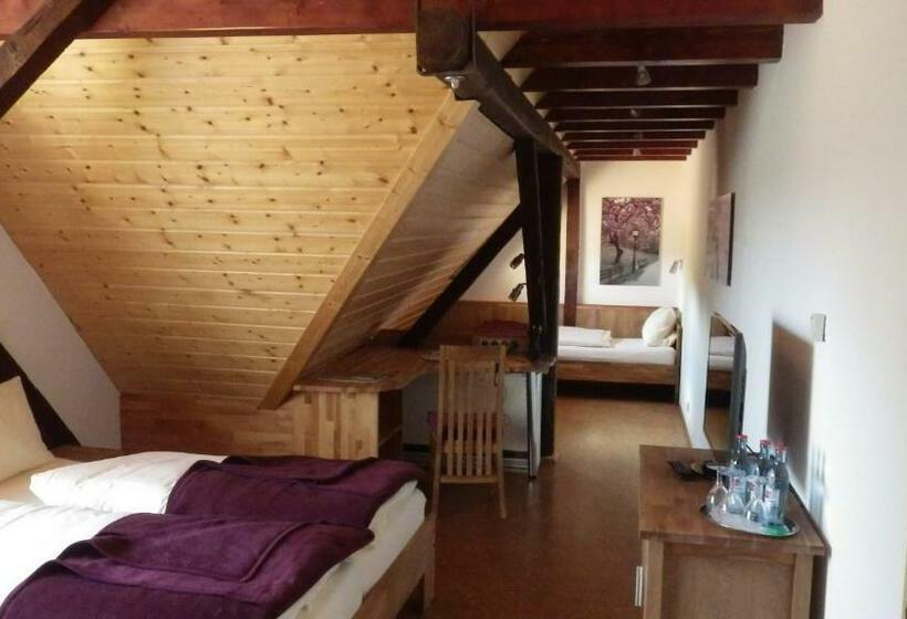 高级大房间, Landhotel Garni Knittelsheimer Mühle