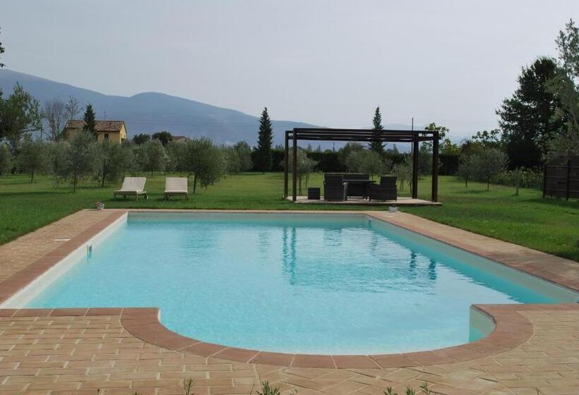 جناح, B&b Cuor Di Lavanda