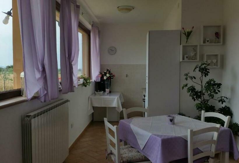 スタンダードルーム, B&b Le Rose