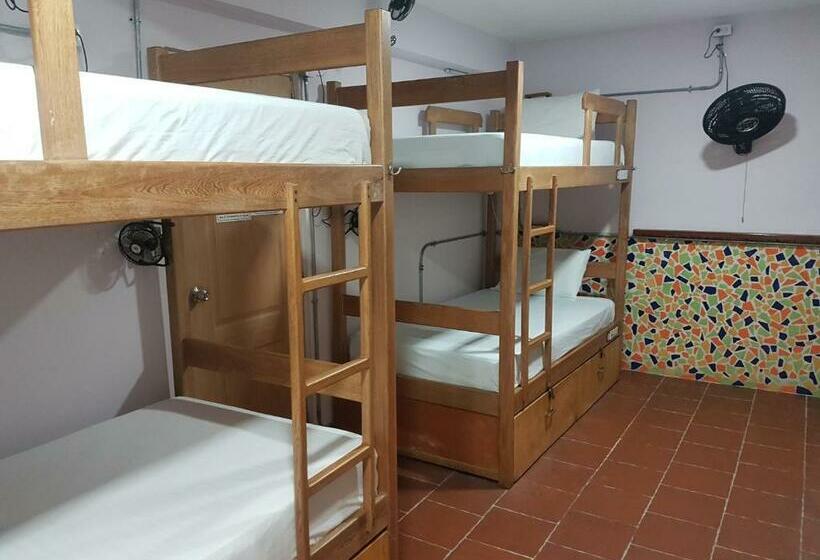 Кровать в Общей Комнате, Purple Monkey Hostel