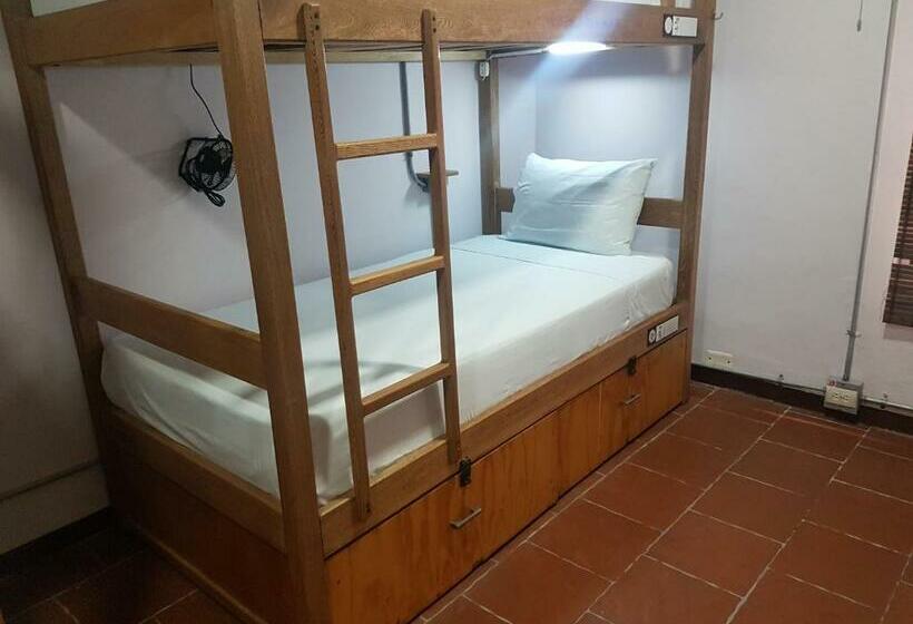 Кровать в Общей Комнате, Purple Monkey Hostel