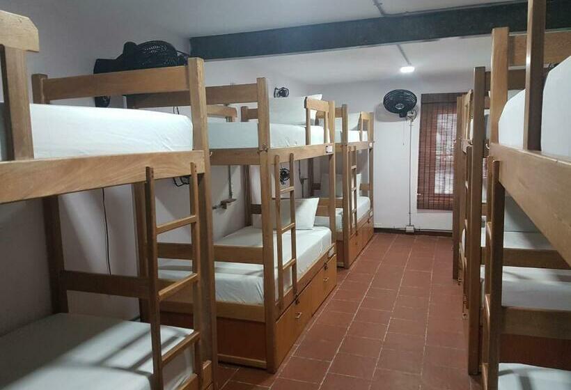 Кровать в Общей Комнате, Purple Monkey Hostel