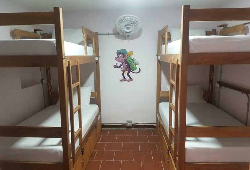 Кровать в Общей Комнате, Purple Monkey Hostel