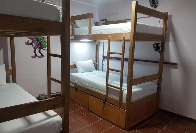 Кровать в Общей Комнате, Purple Monkey Hostel