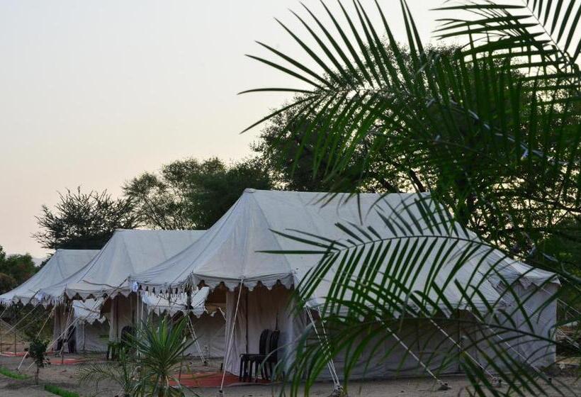 Standard Tent, The Narayan Resort