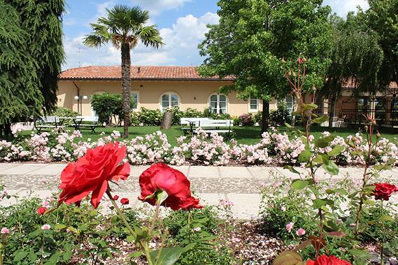 庭の見えるジュニアスイート, Tenuta Agriturismo La Borina