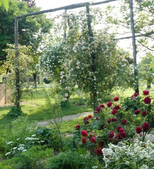 庭の見えるジュニアスイート, Tenuta Agriturismo La Borina