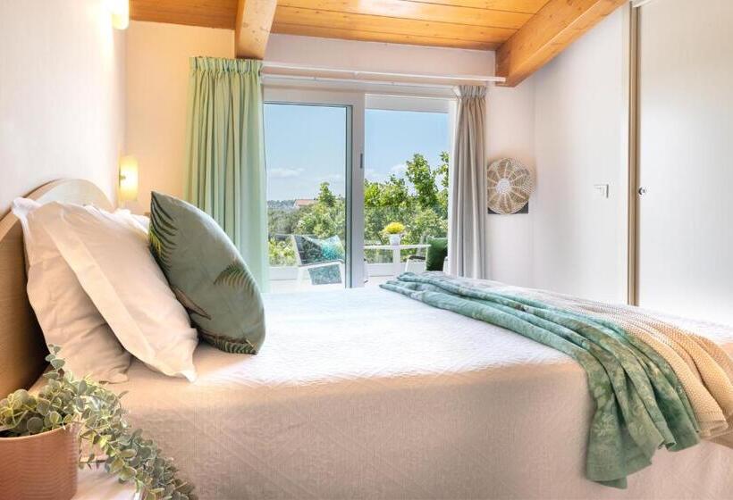 Quarto Estandar, Balaton