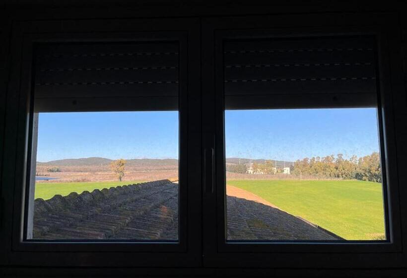 スタンダードルーム, Letizia