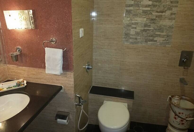 Президентский Люкс, Venkatesh International