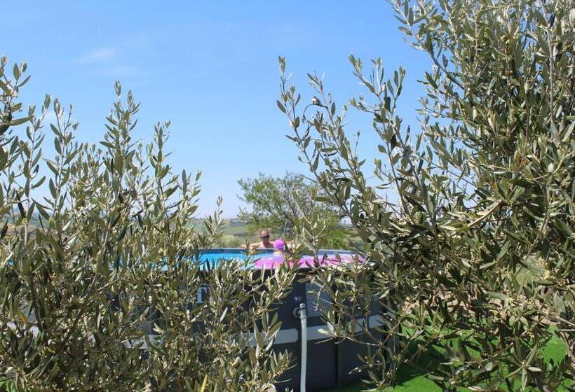 Номер Стандарт, B&b Casa Alysa