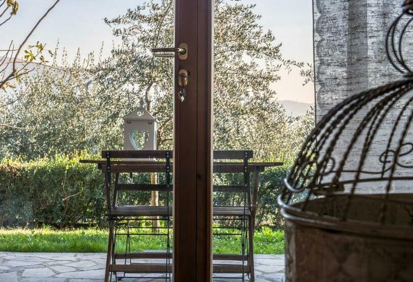 Номер Стандарт, B&b Casa Degli Ulivi