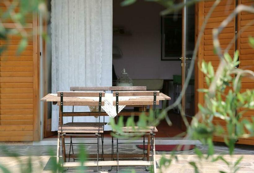 Номер Стандарт, B&b Casa Degli Ulivi