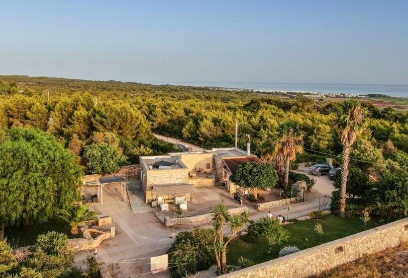 스탠다드 룸, Allu Ruvezzu