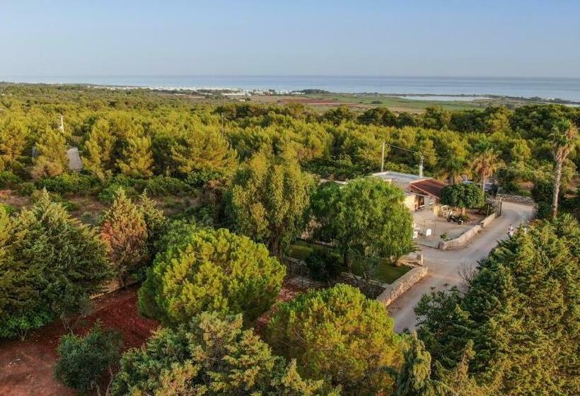 스탠다드 룸, Allu Ruvezzu