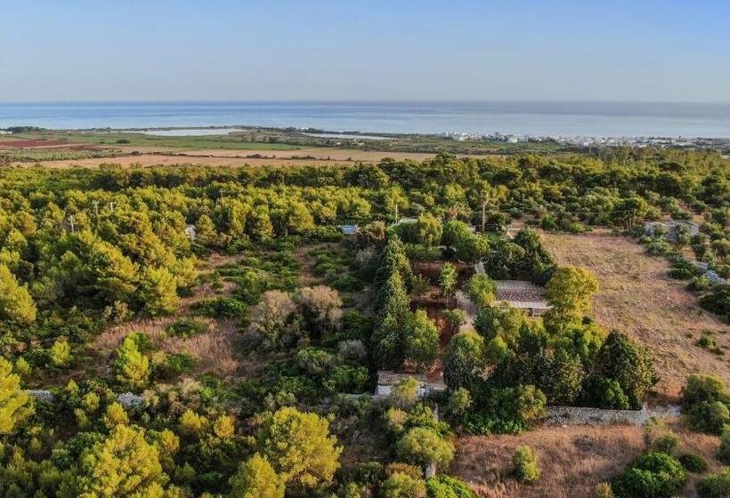 4인용 스탠다드 룸, Allu Ruvezzu