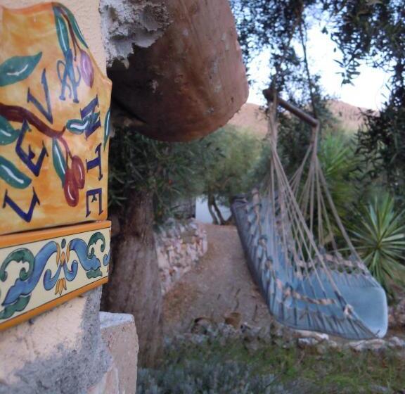 חדר משפחתי, Buenavistasurfmed