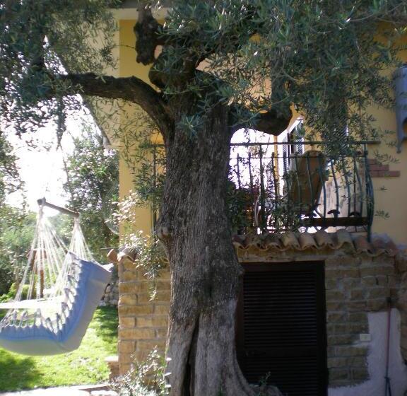 חדר משפחתי, Buenavistasurfmed