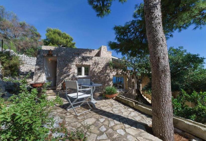 غرفة إقتصادية, La Casa Del Fico