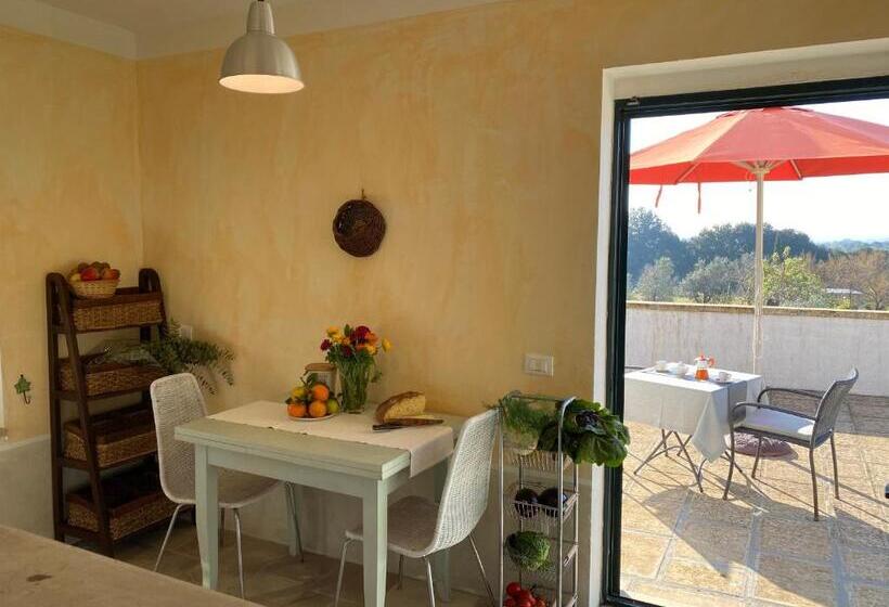 شقة غرفة واحدة مزودة بتراس, Tenuta Alla Castellana